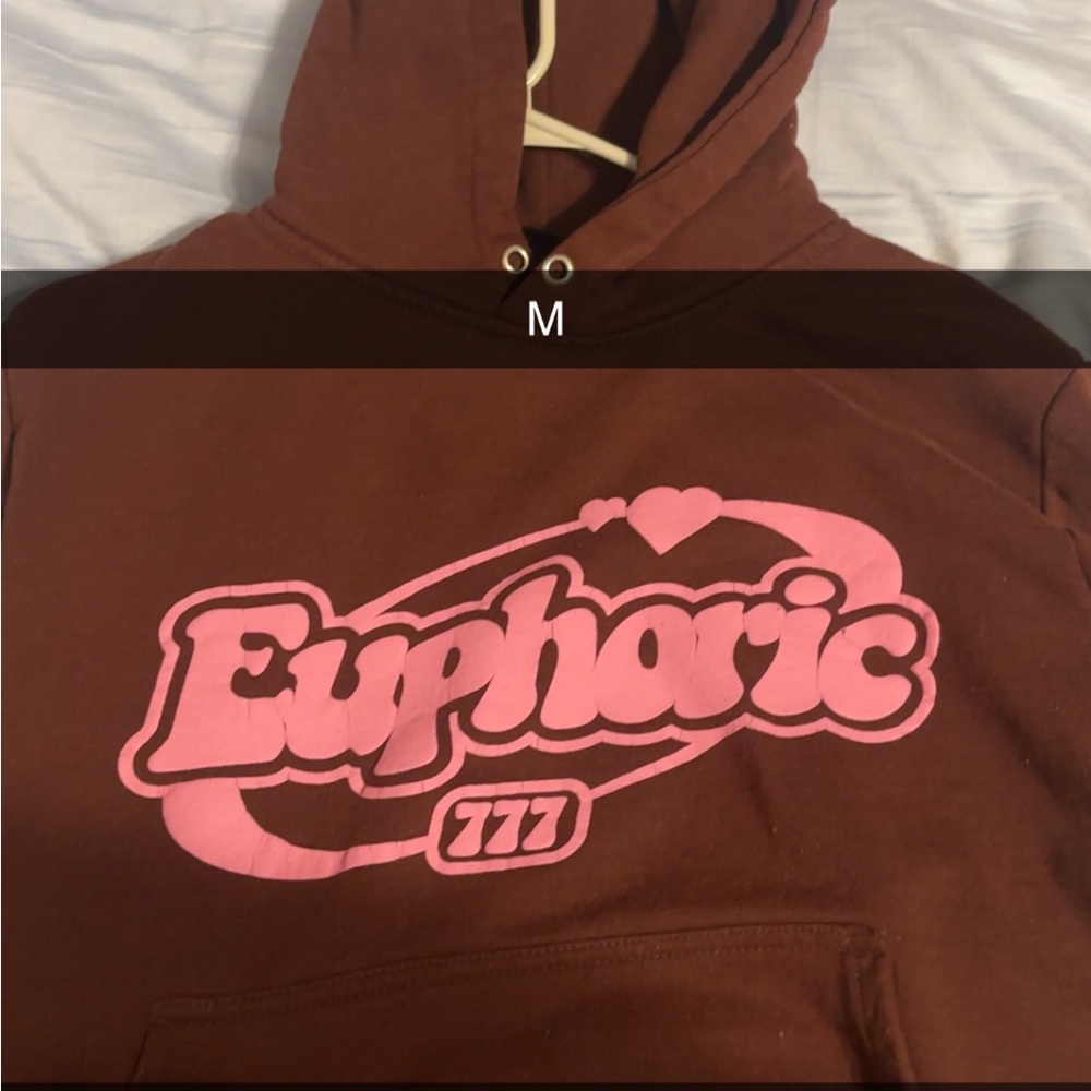 Euphoric Brown Hoodie with Pink Graphic